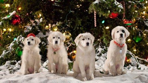 Santa Paws 2: The Santa Pups filmas žiurėti online
