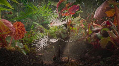 Planètes filmas žiurėti online