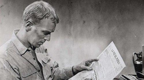 The Reward filmas žiurėti online