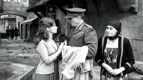 Two Colonels filmas žiurėti online