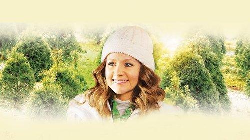 An Evergreen Christmas filmas žiurėti online