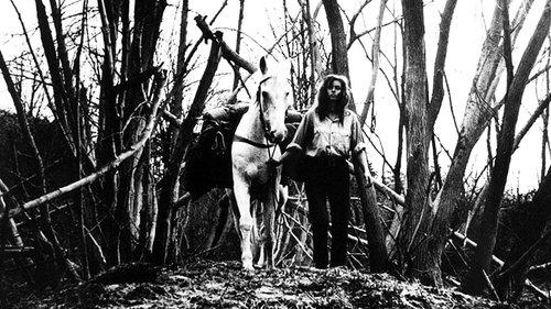 The End of August at the Hotel Ozone filmas žiurėti online