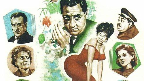 I pappagalli filmas žiurėti online