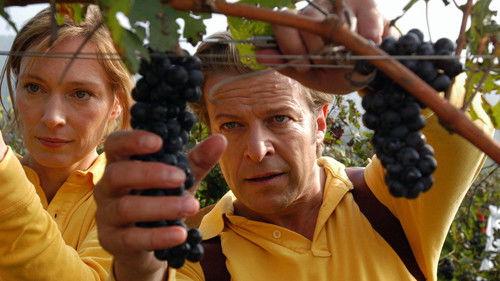 Liebe auf den dritten Blick filmas žiurėti online