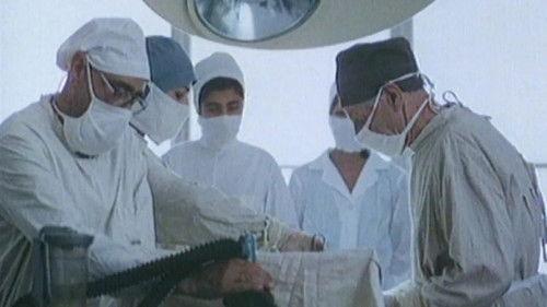 Hot Summer in Kabul filmas žiurėti online