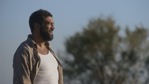 South Terminal filmas žiurėti online