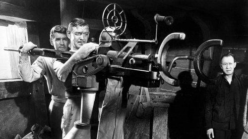 Soldier of Fortune filmas žiurėti online