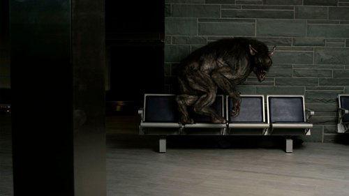 Battledogs filmas žiurėti online