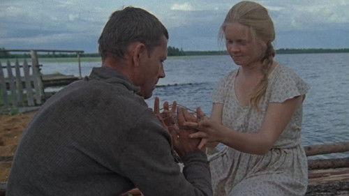 The Cold Summer of 1953 filmas žiurėti online