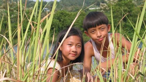 Homerun filmas žiurėti online