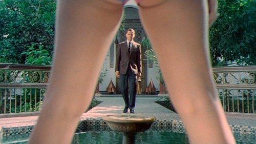 Our Man in Marrakesh filmas žiurėti online