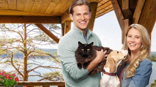 Like Cats & Dogs filmas žiurėti online