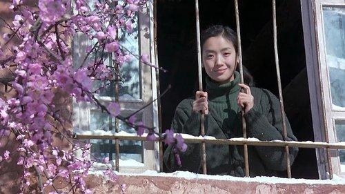 Treasure Hunt filmas žiurėti online