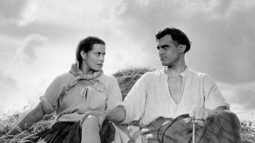 Loviisa – Niskavuoren nuori emäntä filmas žiurėti online