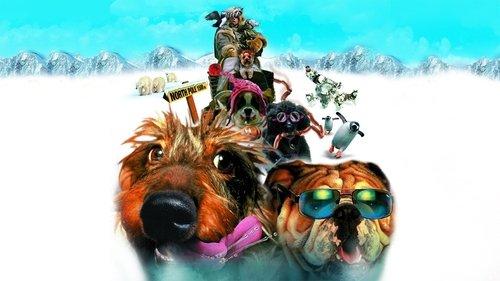 Chilly Dogs filmas žiurėti online