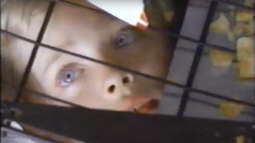 The Innocent filmas žiurėti online