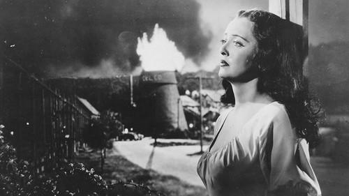 Beyond the Forest filmas žiurėti online