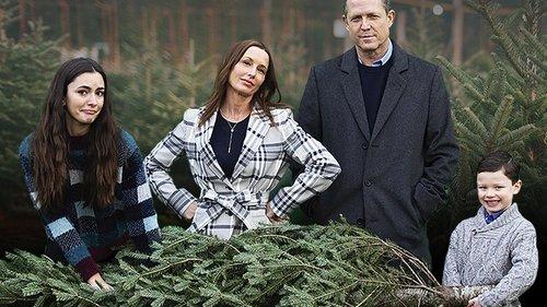 Christmas vs The Walters filmas žiurėti online