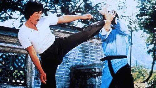 Blind Fist of Bruce filmas žiurėti online
