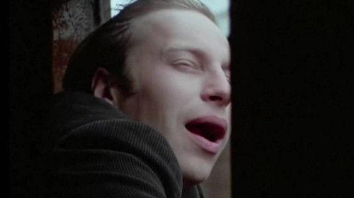 The Calm filmas žiurėti online