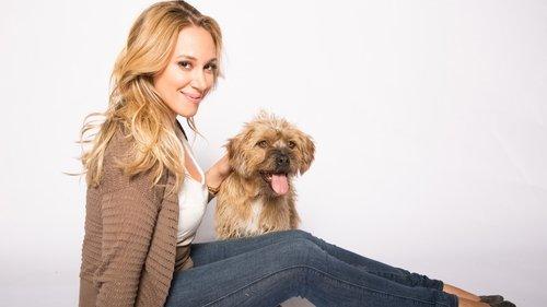 Christmas Belle filmas žiurėti online