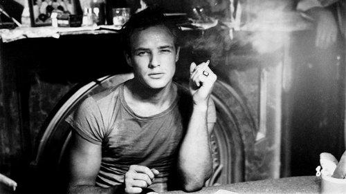Marlon Brando, un acteur nommé désir filmas žiurėti online