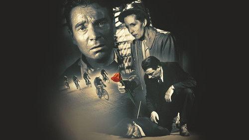 Five Red Tulips filmas žiurėti online