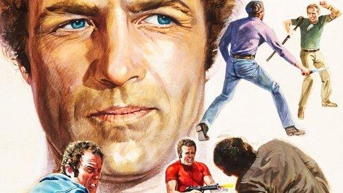 The Killer Elite filmas žiurėti online