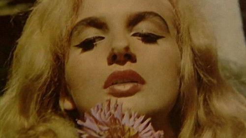 Didn't Do It For Love filmas žiurėti online