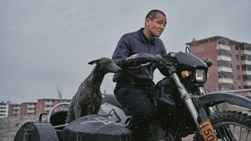 Black dog filmas žiurėti online