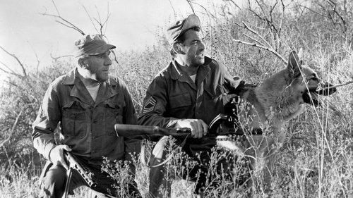 The Young and the Brave filmas žiurėti online