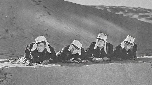 The Three Musketeers filmas žiurėti online