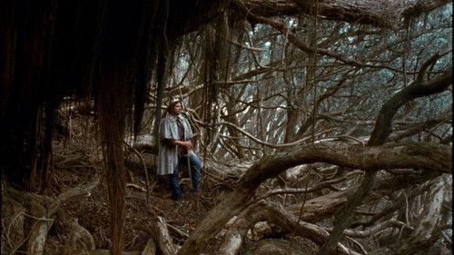 Ariel filmas žiurėti online