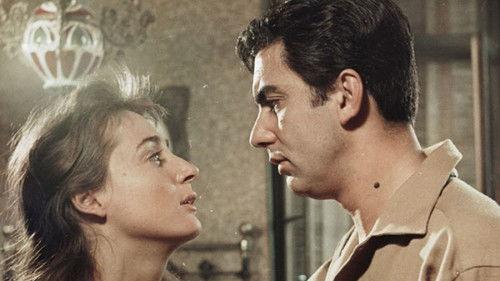 A Girl in Black filmas žiurėti online