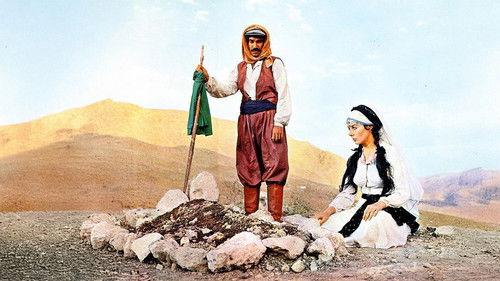 The Second Wife filmas žiurėti online