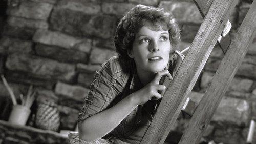 Spitfire filmas žiurėti online