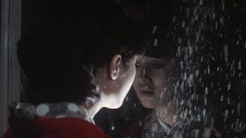 With Beauty and Sorrow filmas žiurėti online