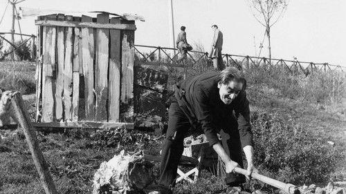 At the Edge of the City filmas žiurėti online