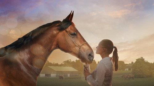 A Horse Tale filmas žiurėti online