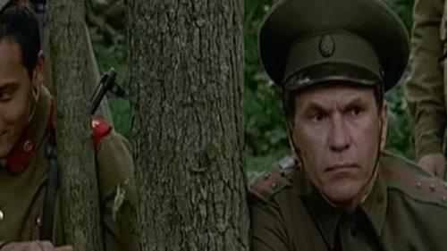 Taiga Novel filmas žiurėti online