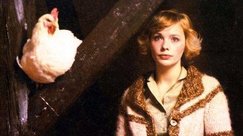 Erogenous Zone filmas žiurėti online