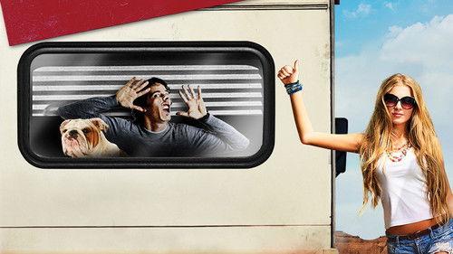 American Idiots filmas žiurėti online