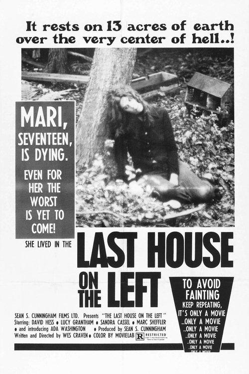 The Last House on the Left filmas online