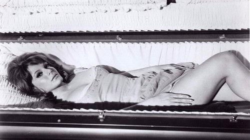 Domingo salvaje filmas žiurėti online