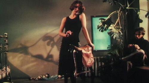 The Austrian Field filmas žiurėti online