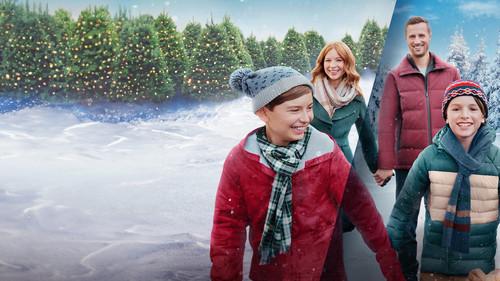 A Season for Family filmas žiurėti online