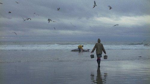 Ring of Bright Water filmas žiurėti online