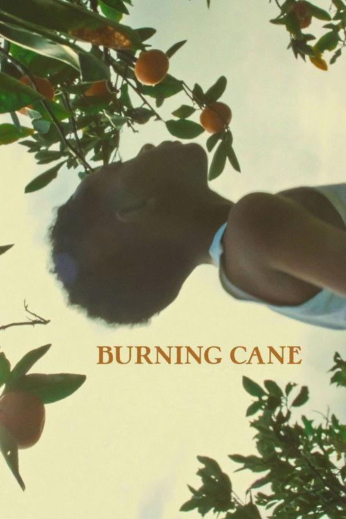Burning Cane filmas online