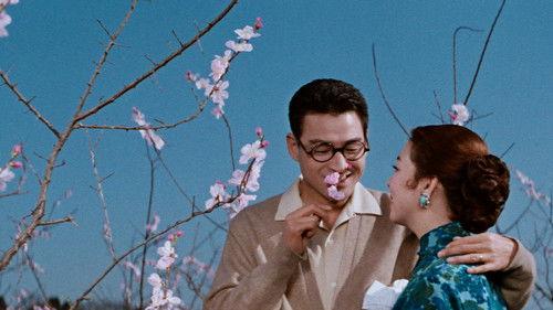 The Wandering Princess filmas žiurėti online