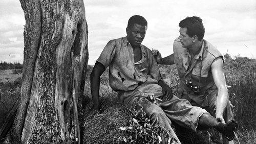 Something of Value filmas žiurėti online